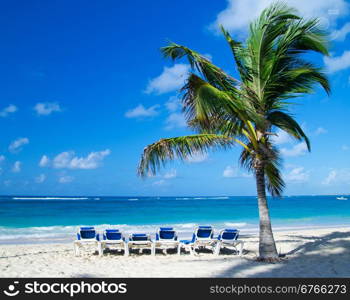 Caribbean Beach and Palm tree .Paradise. Vacation and Tourism concept.