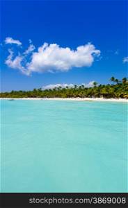 Caribbean Beach and Palm tree .Paradise. Vacation and Tourism concept.&#xA;&#xA;
