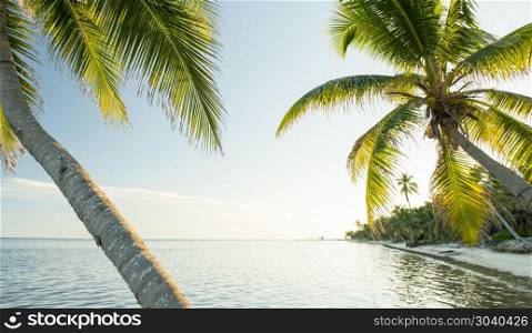 Caribbean Beach Belize. Tropical Caribbean beach destination of Ambergris Caye in Belize