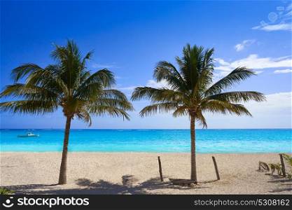 Caribbean beach coconut palm trees in Riviera Maya of Mexico