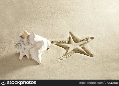 caribbean beach shell and starfish printed on white sand summer vacation background