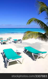 Caribbean beach turquoise sea with green hammocks