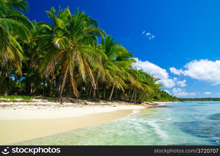 Caribbean clear beach and tropical sea