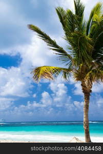 Caribbean clear beach and tropical sea