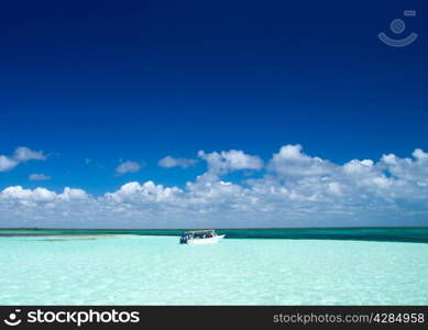 Caribbean clear beach and tropical sea