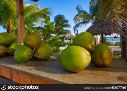 caribbean coconut fruits in Mayan Riviera of Mexico