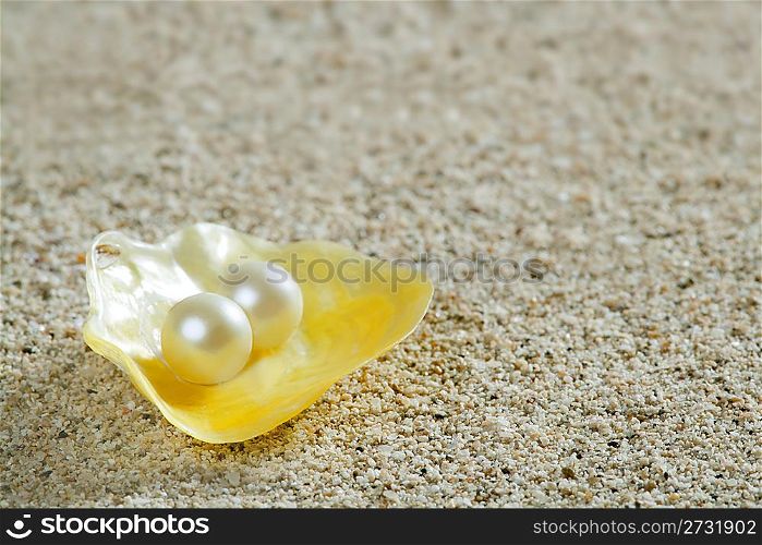 Caribbean pearl in shell over white sand in a summer tropical beach