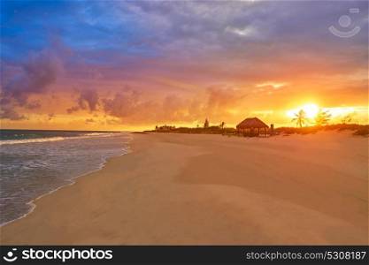Caribbean sunset beach in Riviera Maya of Mayan Mexico