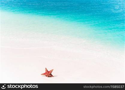 Caribbean tropical beach with a beautiful red starfish in white sand. Tropical white sand with red starfish in clear water