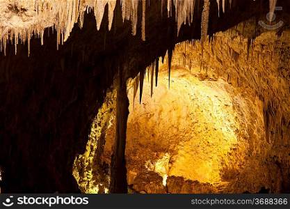 Carlsbad Caverns National Park in USA
