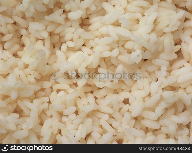 carnaroli rice food. carnaroli rice, medium grained rice grown in the Pavia, Novara and Vercelli provinces of northern Italy used for Risotto
