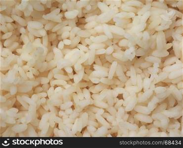 carnaroli rice food. carnaroli rice, medium grained rice grown in the Pavia, Novara and Vercelli provinces of northern Italy used for Risotto