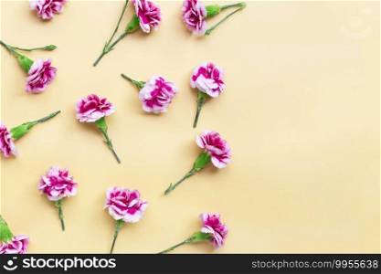 Carnation flower on yellow background. copy space