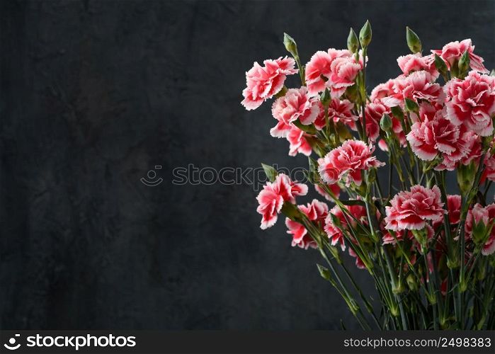 Carnation flowers bouquet. Dark moody background with copy space.