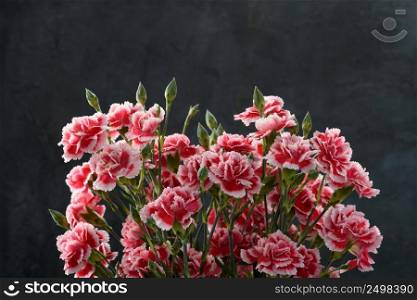 Carnation flowers bouquet over dark moody art background with copy space