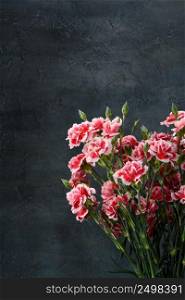 Carnation flowers bouquet over dark moody background vertical with copy space.