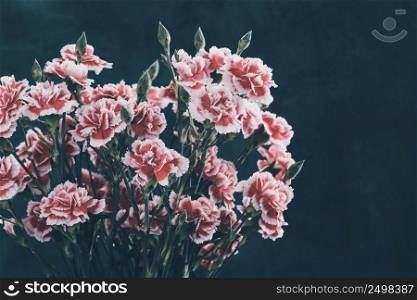 Carnation flowers bouquet retro color toned dark moody background.