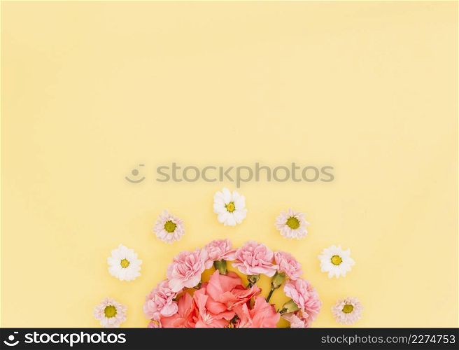 carnations daisies