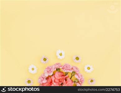 carnations daisies