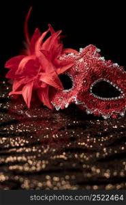 carnival mask with glitter feathers