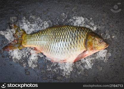 Carp fish, Fresh raw fish on ice for cooked food and dark background, common carp freshwater fish market