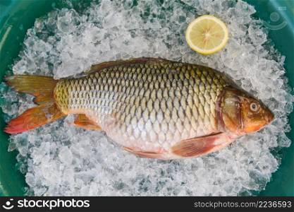 Carp fish, Fresh raw fish on ice for cooked food with lemon background, common carp freshwater fish market