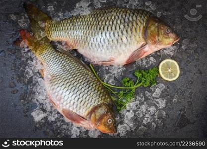 Carp fish, Fresh raw fish on ice for cooked food with parsley lemon and dark background, common carp freshwater fish market