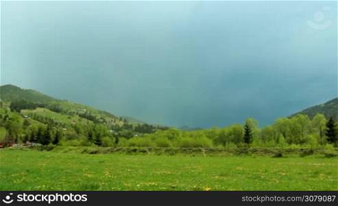 Carpathian meadows blooming after rain