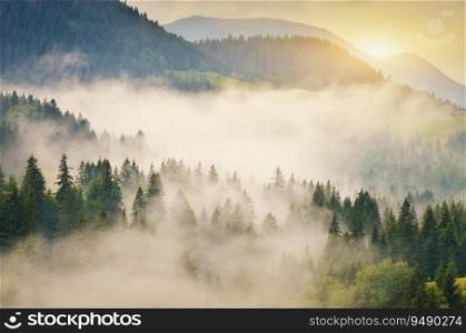 Carpathian mountain range at early morning sunrise. Beautiful nature landcape.