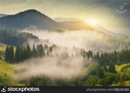Carpathian mountain range at early morning sunrise. Beautiful nature landcape.