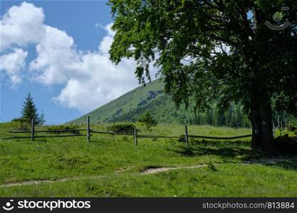 Carpathian mountain summer country landscape with path and fence, Ukraine.