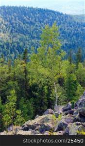 Carpathian Mountain summer landscape with fir forest and slide-rocks (Ihrovets, Ukraine).