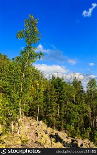 Carpathian Mountain summer landscape with sky and cumulus clouds, fir forest and slide-rocks (Ihrovets, Ukraine).