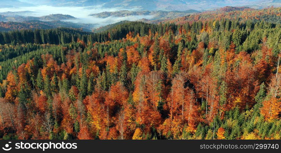 Carpathian mountain sunny landscape