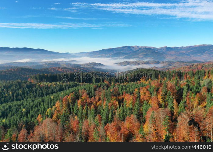 Carpathian mountain sunny landscape