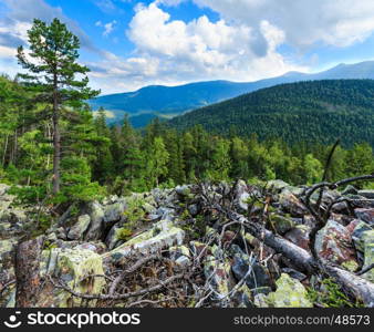 Carpathian Mountain (Ukraine) summer landscape with sky and cumulus clouds, fir forest and slide-rocks.