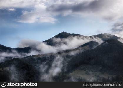 Carpathian mountains after rain, Ukraine