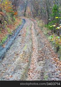 Carpathian Mountains autumn dirty road in forest.