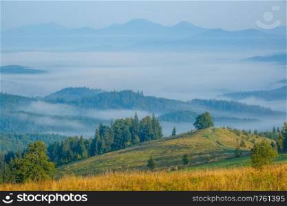 Carpathian mountains covered with forest. Summer morning. Fog in the valley. Blue peaks in the rear plan. Summer Morning and Mist in the Valley