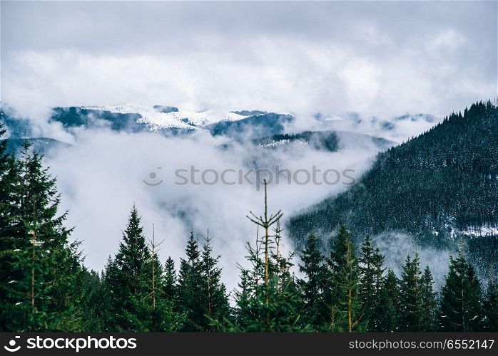 Carpathian mountains in the fog