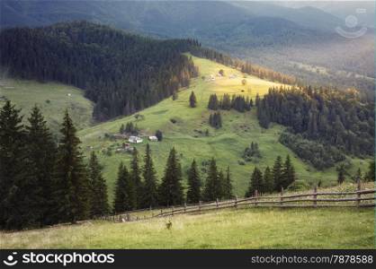 Carpathian mountains rural landscape. Carpathian mountains, Ukraine