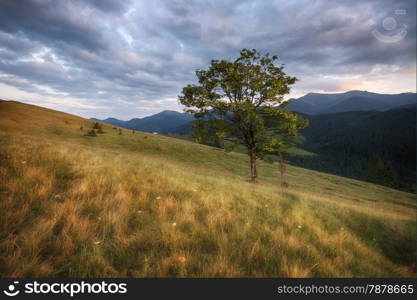 Carpathian mountains rural landscape. Carpathian mountains, Ukraine