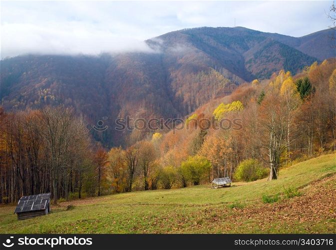 Carpathian Mountains (Ukraine) autumn landscape with cattle-breeding farm