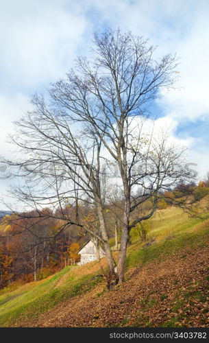 Carpathian Mountains (Ukraine) autumn landscape with cattle-breeding farm