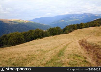 Carpathian Mountains (Ukraine) autumn landscape with country road.