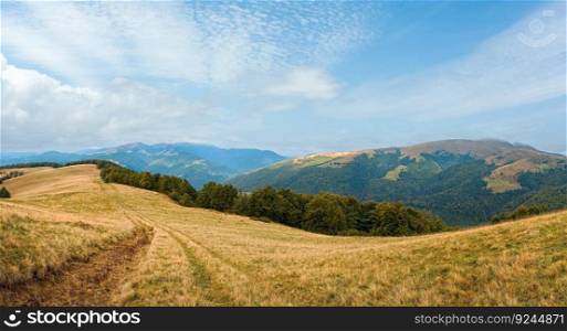 Carpathian Mountains  Ukraine  autumn landscape with country road. Panorama.