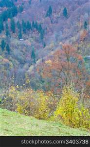 Carpathian Mountains (Ukraine) misty autumn day mountainside view