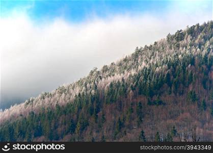 Carpathians mountains slope with a first snow on a trees