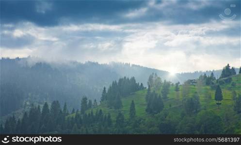 Carpatian valley with green hills and misty horizon, abstract natural landscape