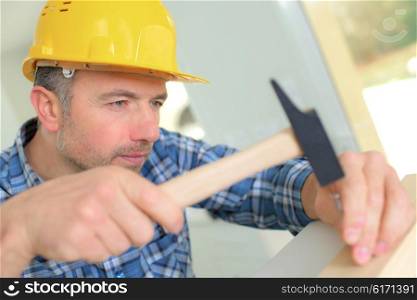 Carpenter with a hammer